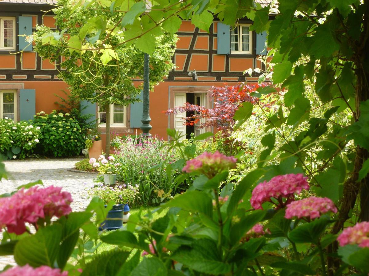 Hotel Le Moulin Gundershoffen Buitenkant foto